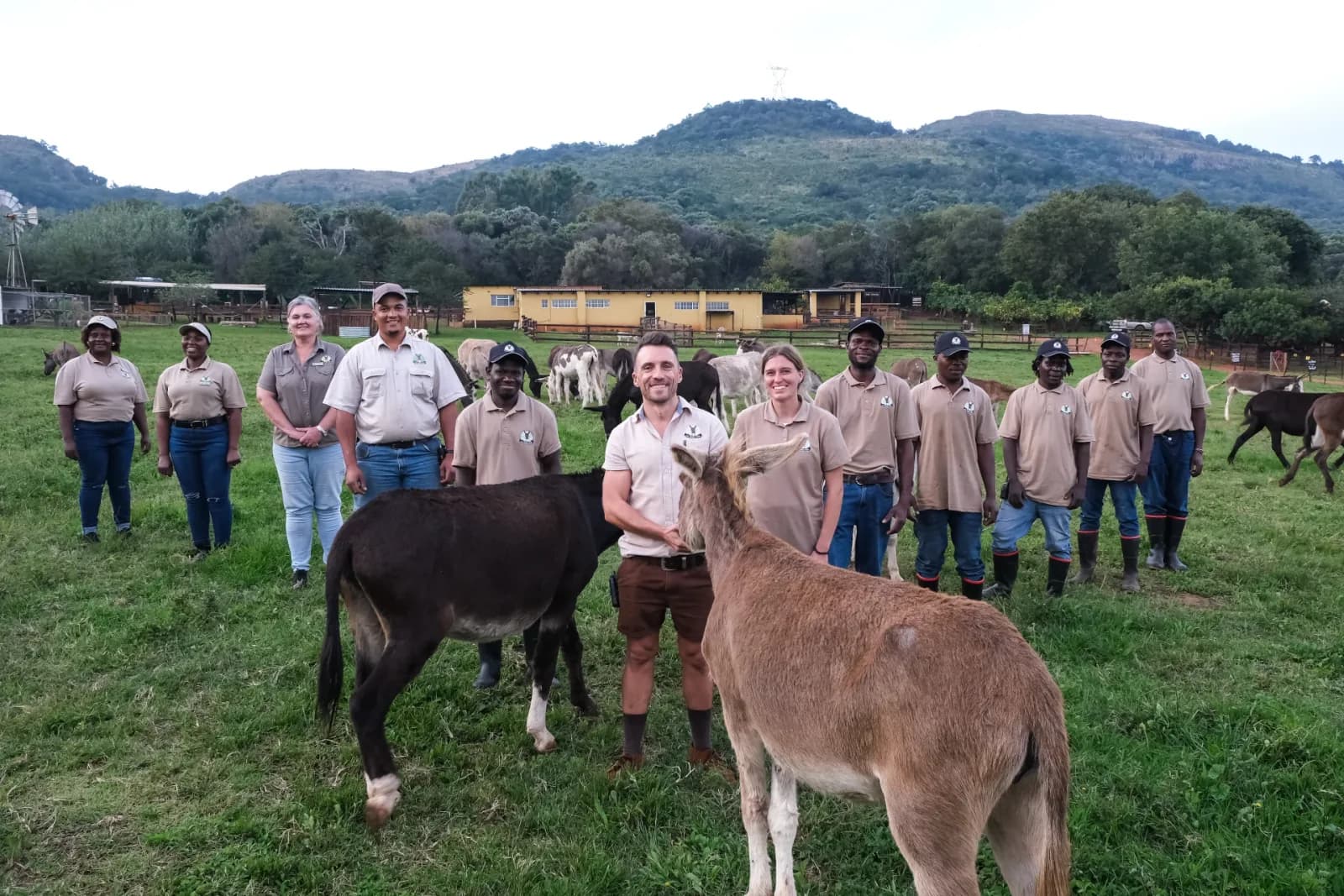 The Donkey Dairy